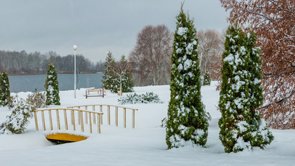 winter landscape. cloudy weather. a park zone on the coast of the lake