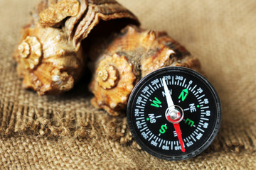 compass for travel and seashells