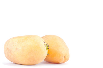  fresh organic potatoes tubers on white background healthy potato Vegetable food isolated
