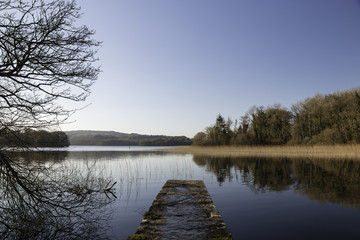Lough Key Forest Park, Boyle, Roscommon, Ireland