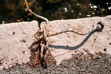 Fishing white colorful rope tied to a hook