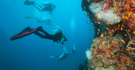 Plexiglas foto achterwand Group of scuba divers exploring coral reef © Jag_cz