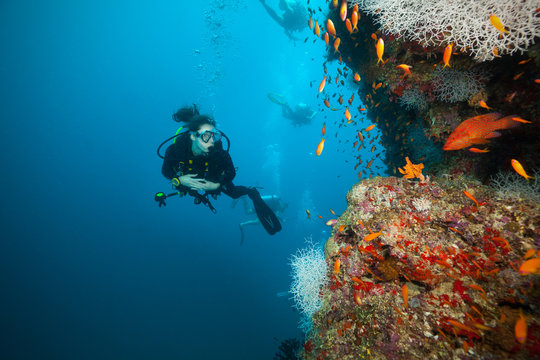 Young woman scuba diver exploring coral reef
