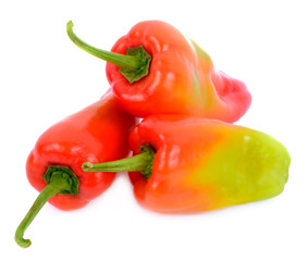 Sweet pepper isolated on a white background