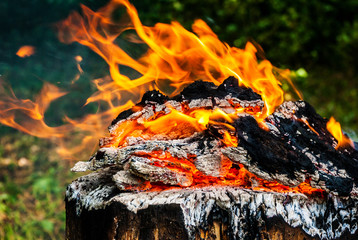 Fire and ash