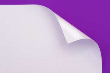 sheet of paper with the wrapped up corner on a purple background