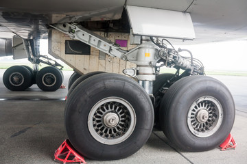 Fototapeta na wymiar Main landing gear of big wide body airplane