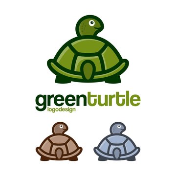 Turtle Logo Back Side