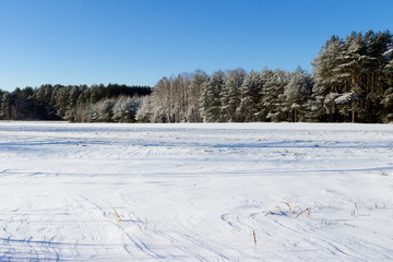 White winter landscape in the forest.