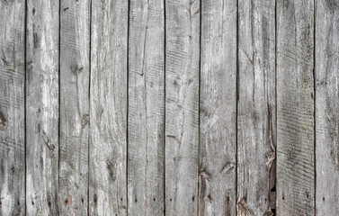 Texture old gray wood tree board