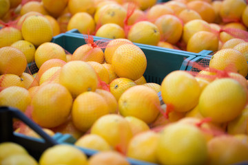 Oranges in boxes in the supermarket