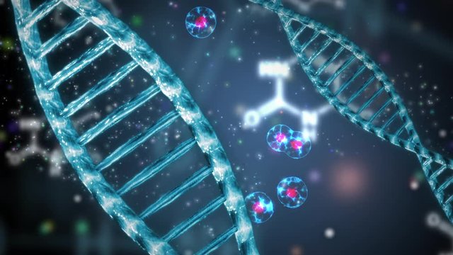 structure of the human DNA genoma double helix animation 