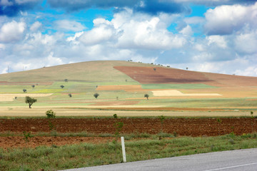 Agricultural land and road 