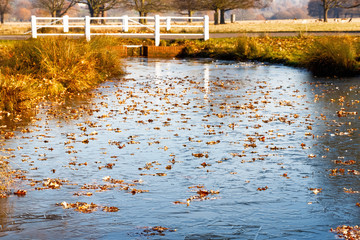 Frozen pond in Richmond Park, London