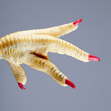 Pata de pollo con u&ntilde;as pintadas