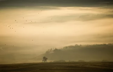 Printed roller blinds Hill fog in morning landscape with hills and tree