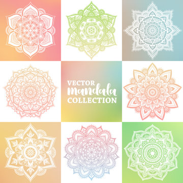 Vector set of arabic mandala on greenery spring gradient background. Bohemian ornament for posters and logo design. Colorful template collection.