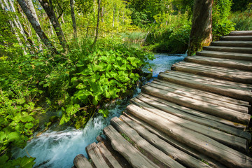 Wooden Walkway in Plitvice Lake National Park, Croatia
