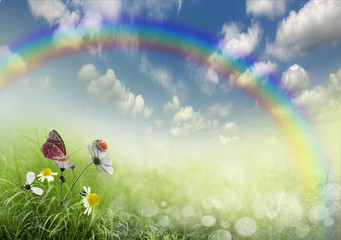 ladybug on flowers © Vitaly Krivosheev