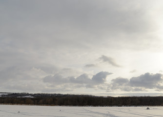 The spring sky above the trees.