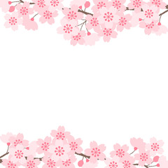 Obraz na płótnie Canvas cherry blossoms