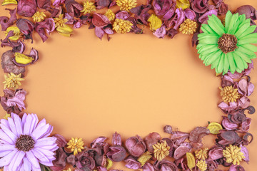 Dried flowers frame composition on colorful background. Top view, flat lay.
