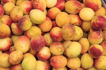 apricots grown without pesticides
