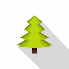 Canadian fir icon, flat style