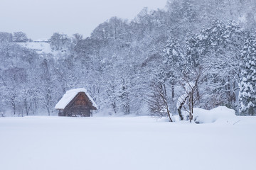 Famous traditional gassho-zukuri farmhouses in Shirakawa-go village, Japan.In the winter all village are covered with snow.