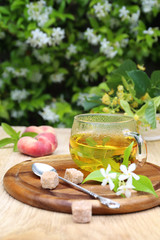 Summer Tea Party: herbal tea in the lush  garden