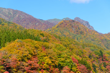 長野 鬼無里 奥裾花渓谷の紅葉