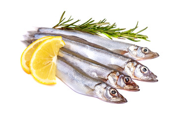 Raw fish capelin and a branch of rosemary, lemon slices isolated on white background.
