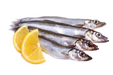 Raw fish capelin with lemon slices isolated on white background.