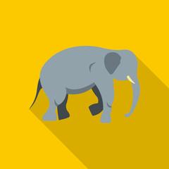 Elephant icon, flat style