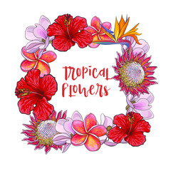 Square frame of tropical flowers with place for text, sketch vector illustration isolated on white background. Hand drawn realistic exotic, tropical flowers as square frame, banner, label design