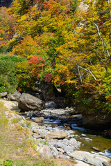 長野　鬼無里　奥裾花渓谷の紅葉