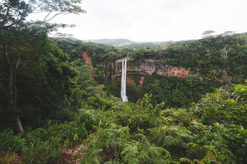 Fototapeta na wymiar chamarel waterfall mauritius