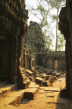 Cambodia, Angkor, Ta Prohm temple, Tomb Raider film location