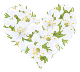 Vector  floral  heart shape.