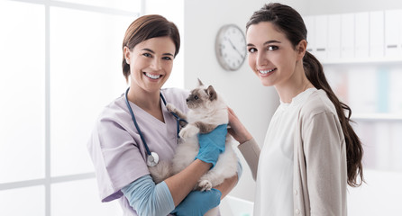 Veterinarian, pet owner and cat at the clinic