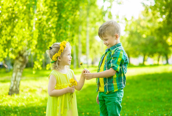 Boy gives a flower girl in the park summer day