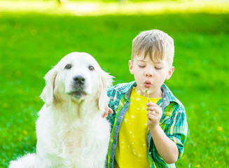 Kid with golden retriever dog blowing dandelion