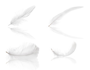 four pure white feathers with reflections