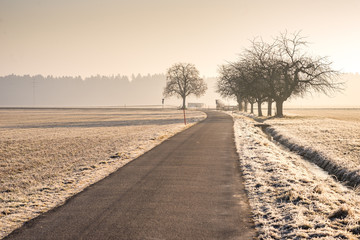 Wintermorgen über dem Schweizer Flachland