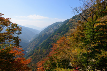 長野　飯田　秋の下栗の里