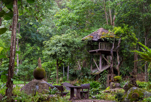 Tree wooden house in the jungle