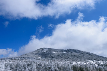 長野　冬の北八ヶ岳