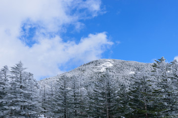長野　冬の北八ヶ岳
