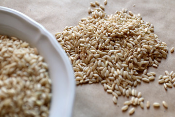 Rice in bowl. Rice in background close-up. Brown rice.