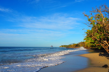 MARTINIQUE Ste Luce Plage de fond Banane 